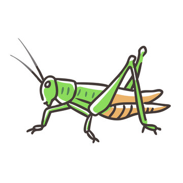 recommend clip art: grasshopper icon, grasshopper vector illustration-simple illustration of grasshopper, perfect for grasshopper logos and icons
