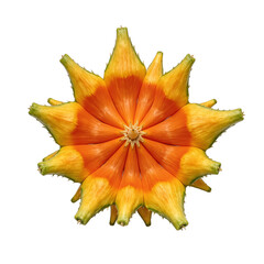 Fototapeta premium Exotic one horned kiwano fruit vibrant orange with spiky skin displayed upright on a white background