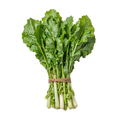 Fresh wasabi greens bundle with jagged leaves and twine on white background Aromatic and spicy
