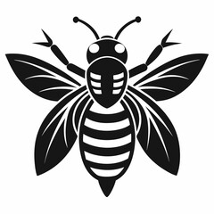 bee on white background