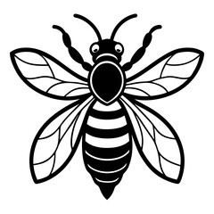 bee on white background