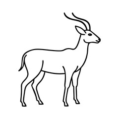 Line Art Drawing of a graceful Impala Antelope standing profile view