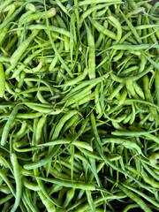 close up of radish pod fresh vegetable photo