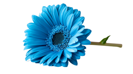 a bright blue flower on a transparent background, PNG image, PNG file, Generative art.