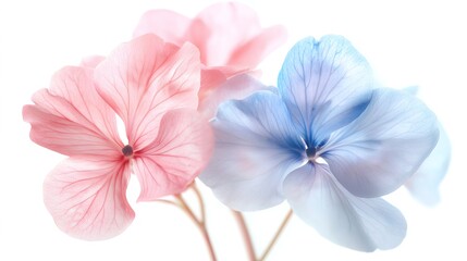 Fototapeta premium Vintage watercolor bouquet of pink and blue flowers, evoking timeless elegance and delicate charm