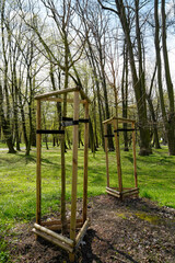 Fototapeta premium Wooden tree guards stand in park protecting young saplings during early spring. Visual ideal for illustrating urban greening or tree care initiatives