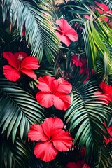 Fototapeta premium Vibrant Red Hibiscus Flowers Tropical Palm Leaves Lush Botanical Background