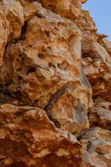 Close-up of a rugged rock face with rough textures and earthy tones. Small green plants grow from crevices, adding life to the ancient, weathered limestone surface shaped by erosion.