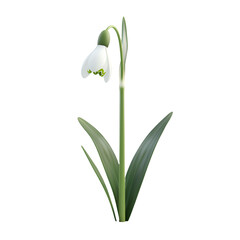 Obraz premium a close up of a flower on a transparent background, PNG image, PNG file, Generative art.