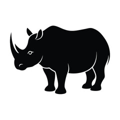 rhino isolated on white