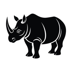rhino isolated on white