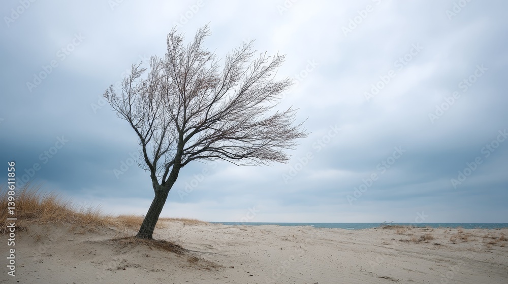 Poster a lone willow tree moves gently on a sandy dune, its branches dancing against a backdrop of clouds. 