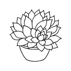 succulents icon, succulents vector illustration-simple illustration of succulents, perfect for succulents logos and icons