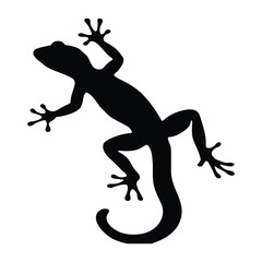 Obraz premium Gecko Top View 