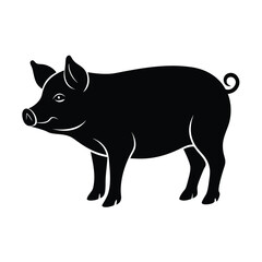 vector illustration of a pig