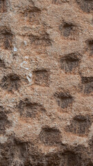 Texture of an old stone wall with small repetitive orifices