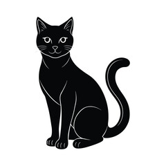 black cat on white background