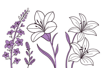 Set of flower vector