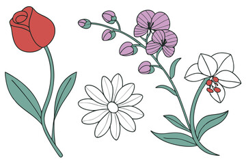 Set of flower vector