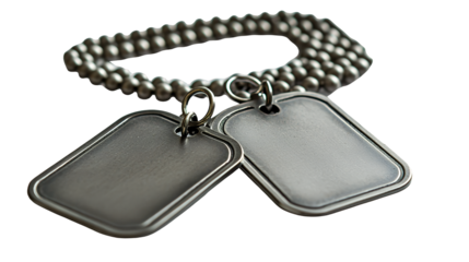 a keychain made of silver metal with a chain around it on a transparent background, PNG image, PNG file, Generative art.