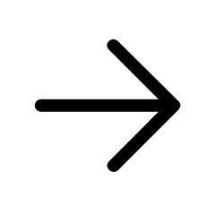 next  vector flat icon