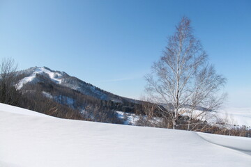 winter landscape in the mountains