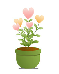 Image shows a pot with a plant with green leaves and heart shaped flowers in shades of pink and yellow. The pot is green and round in shape. The plant is isolated on a white background. Vector illustr