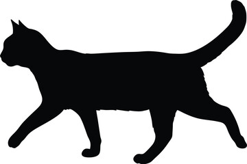 A black cat silhouette walking gracefully against a white background scene
