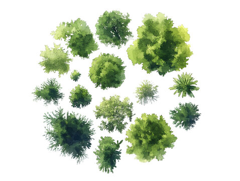 Tree Plan View Images – Browse 148,896 Stock Photos, Vectors, and Video ...