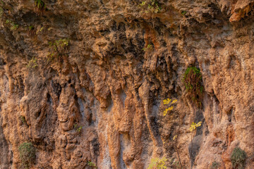Close-up of a rugged rock face with rough textures and earthy tones. Small green plants grow from...