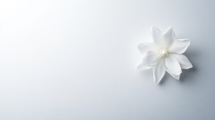 Soft, abstract composition showcases the outline of a tuberose flower in delicate lines against a gentle backdrop, emphasizing simplicity and elegance in floral design