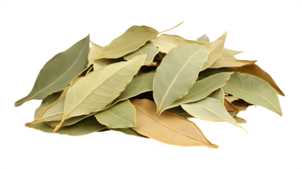 Pile of dried bay leaves on a white background