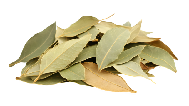Pile of dried bay leaves on a white background
