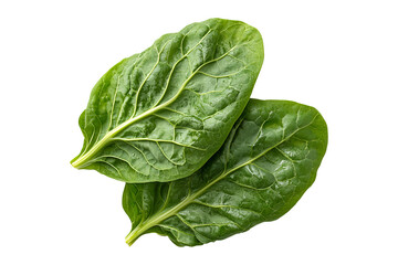 Obraz premium Fresh green lettuce leaves isolated on transparent background