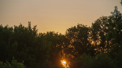 The sun among the tree tops at sunset.