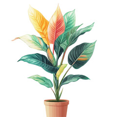 Maranta branch, watercolor illustration, isolated on a white background.


