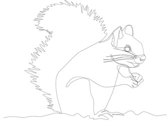 One Line Drawing of Squirrel