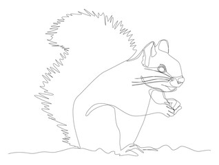 One Line Drawing of Squirrel