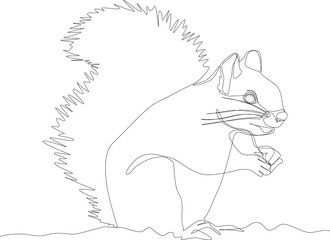 One Line Drawing of Squirrel