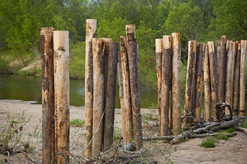 Wooden piles on the river bottom, close-up