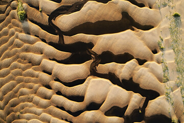 Top view: abstract texture of sandy beach with green bushes
