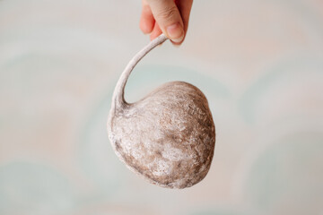 Close-up of a dried Buddha-Nuss seed in the shape of a heart, perfect for wellness, nature, or zen-inspired visuals.