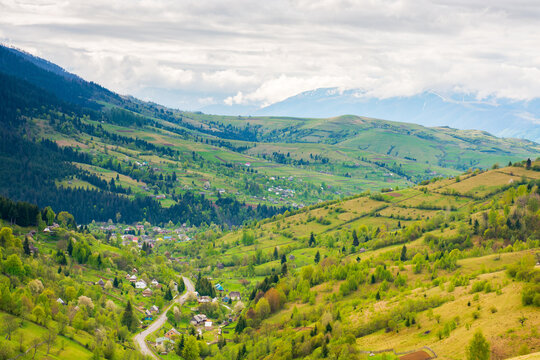 mountainous countryside landscape with synevyr village in the valley. rustic farmland. cloudy weather. rural fields and meadows on the forested slopes of a hill. rolling scenery in spring