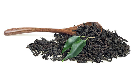 Dried black tea leaves in wooden spoon and fresh tea leaves isolated on a white background