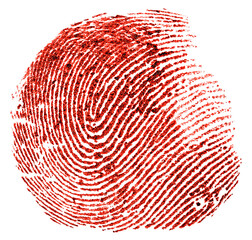 Single bloody red fingerprint isolated on a white background. Criminology, forensic science.