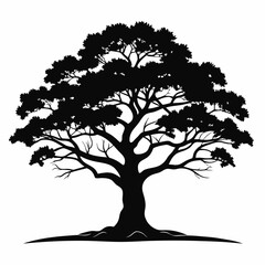 Obraz premium Isolated Silhouette Tree Illustration, Branches, Foliage, Root System, Nature