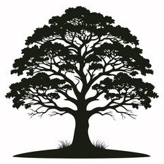 Fototapeta premium Silhouette Tree Deciduous Tree, Leaves, Branch, Wood, Nature, Evergreen, Growth