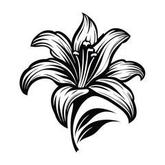 Elegant Black Lily Flower Silhouette with Detailed Petals and Graceful Stem Design
