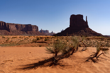The majestic view of Monument Valley