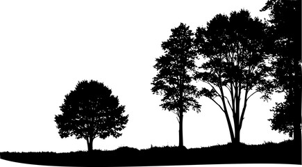 Fototapeta premium Black silhouette of a tree on white background. Minimalist and elegant natural shape, perfect for design projects, nature illustrations, logos, tattoo references, and decorative artistic compositions.